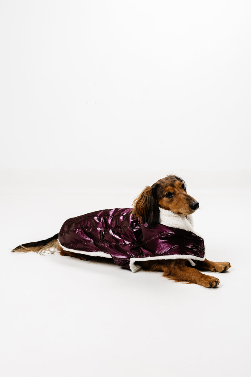 AMELIE (M) – Zimska bundica