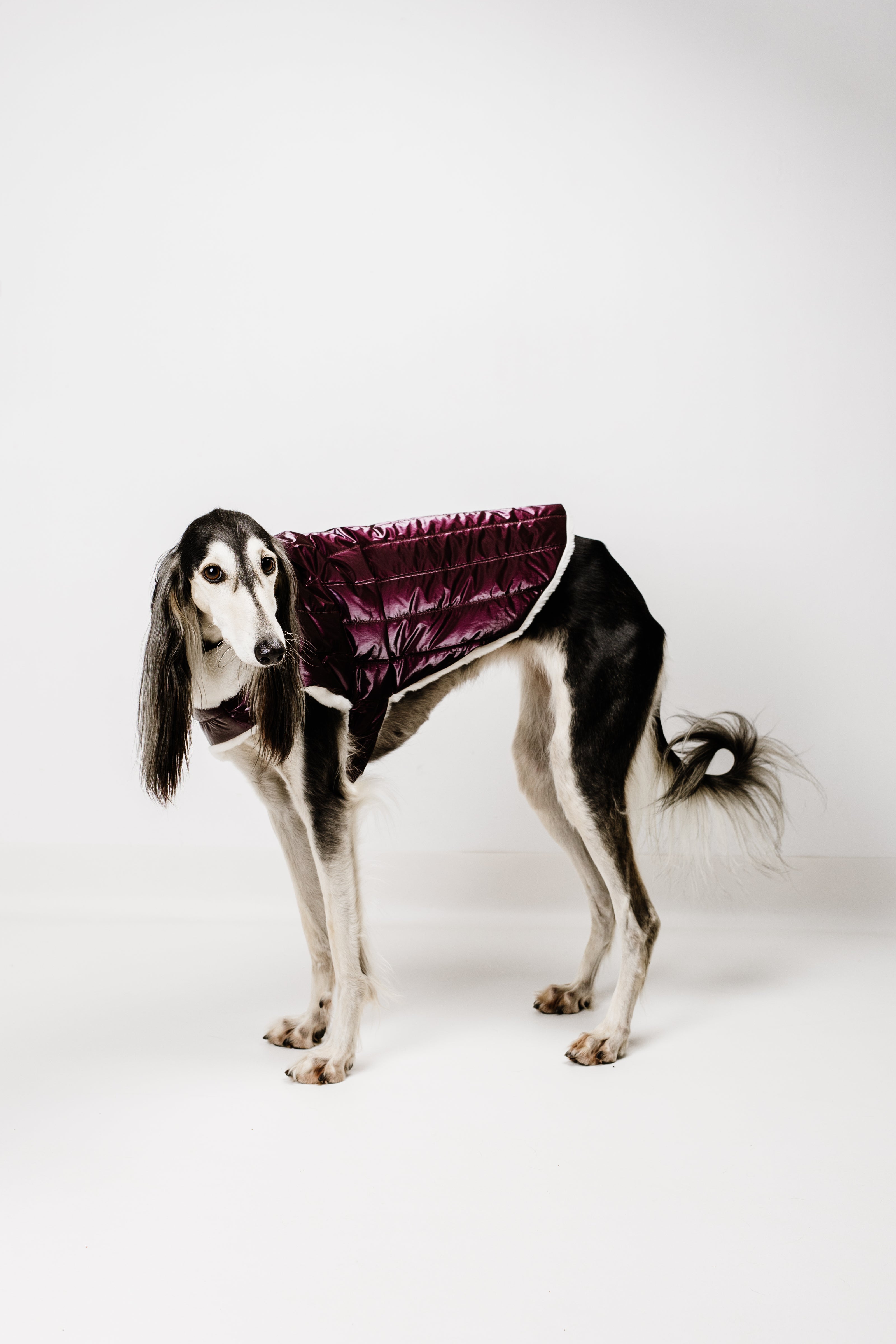 AMELIE (XL) – Zimska bundica
